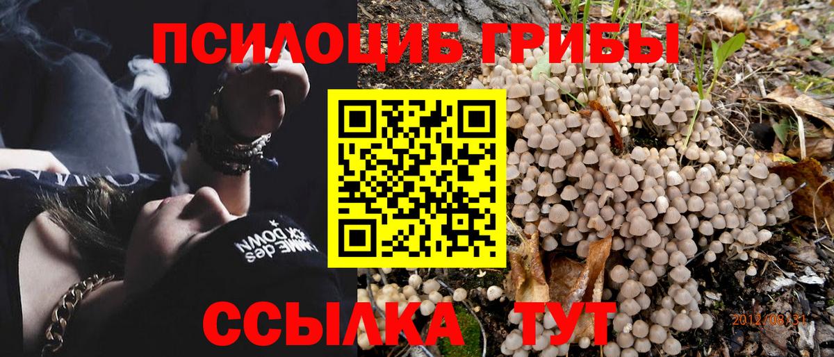 Псилоцибиновые грибы MAGIC MUSHROOMS Домодедово