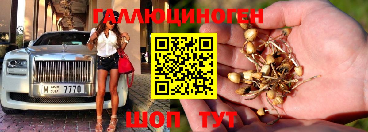Псилоцибиновые грибы мицелий  Псилоцибиновые грибы ЛСД  Домодедово  Вход с VPN 